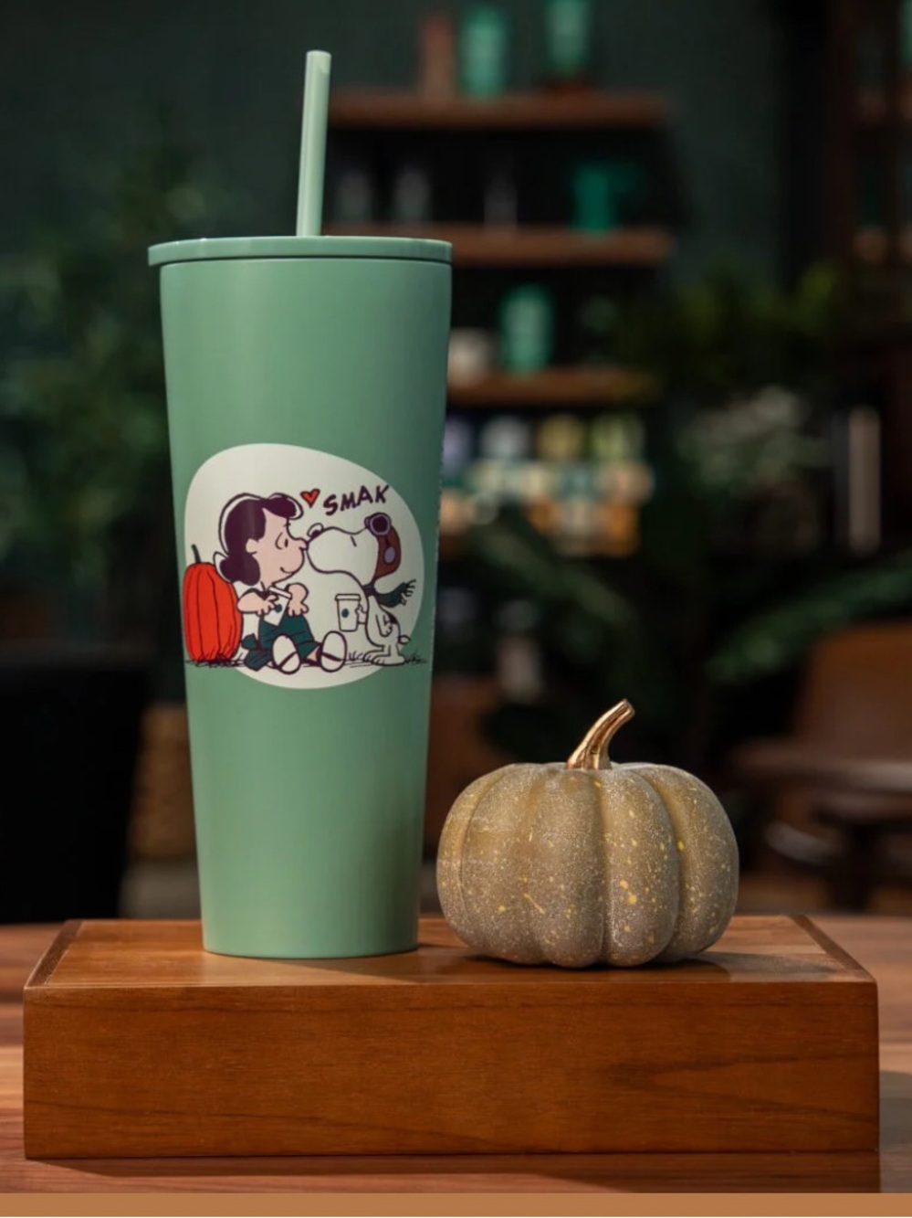 Starbucks Mint Green Peanuts Kiss Tumbler with Straw